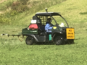 weed spraying of council parks and gardens