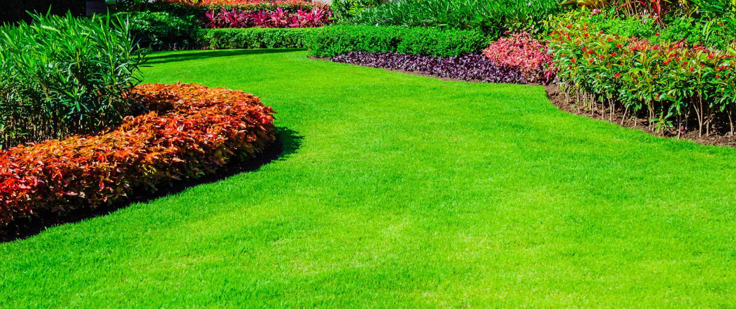 Recommended commercial lawn care