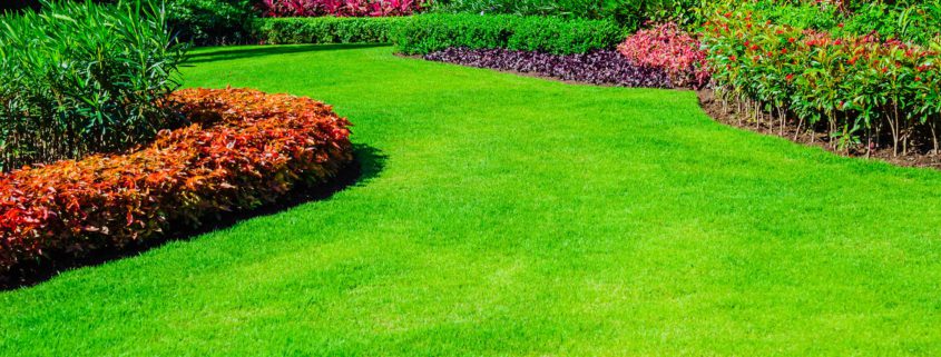 Recommended commercial lawn care