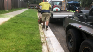 grass and lawn edging