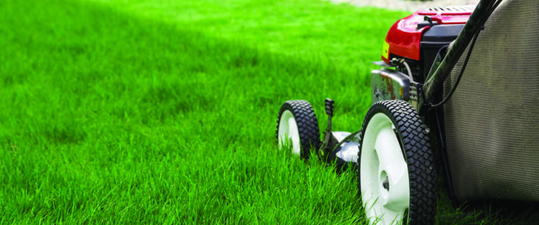 lawn mowing services