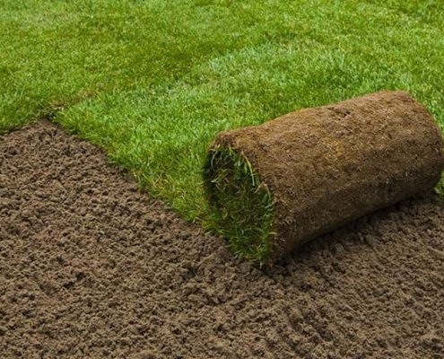 Turf laying service