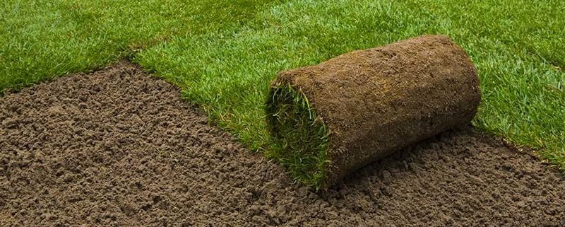 Turf laying service