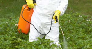 spraying weeds with herbicide