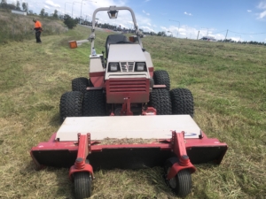 mowing and slashing of council verge and medium strips