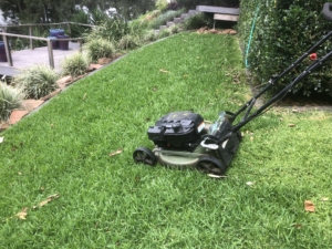 Residential Lawn Mowing