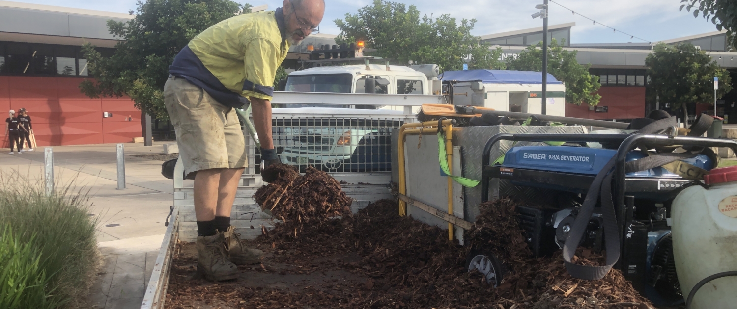 Mulching and Garden Care