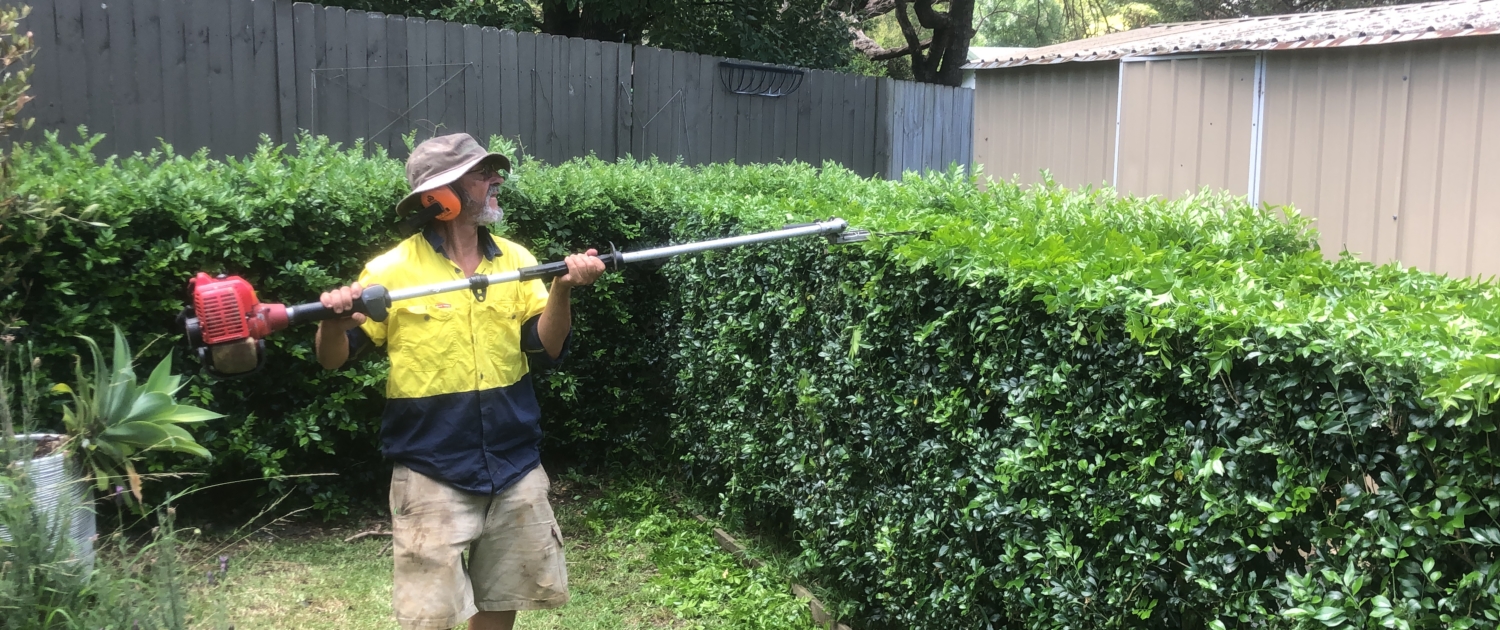 Hedge Trimming